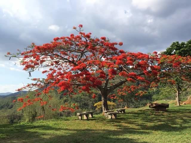 Fazenda Caturama Areal Ngoại thất bức ảnh