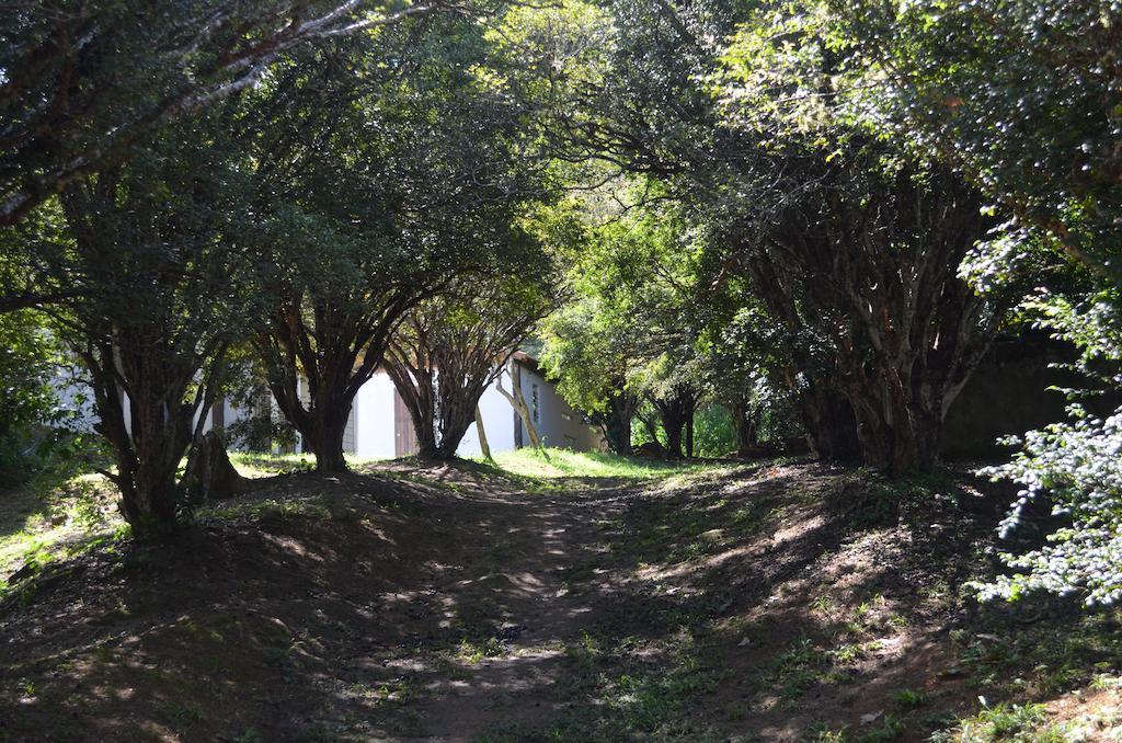 Fazenda Caturama Areal Ngoại thất bức ảnh